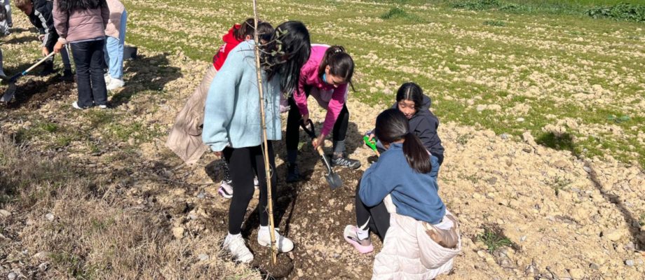 PLANTACIÓN DE 32 ÁRBOLES EN EL PASEO DEL MONASTERIO DE LA OLIVA